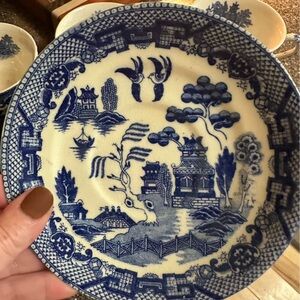Blue and White Decorative Plate